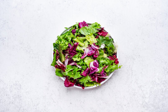 Nutritious healthy green salad food with fresh lettuce and purple radicchio. Dietary vegetarian meal choice for weight loss. Organic raw vegetable ingredients rich in antioxidants.