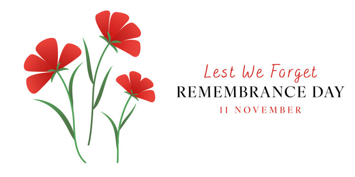 Remembrance Day Horizontal Banner Background Red Poppy Illustration