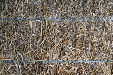 Dense Densely Packed Hay Surface Bound with Strings Background © Olena