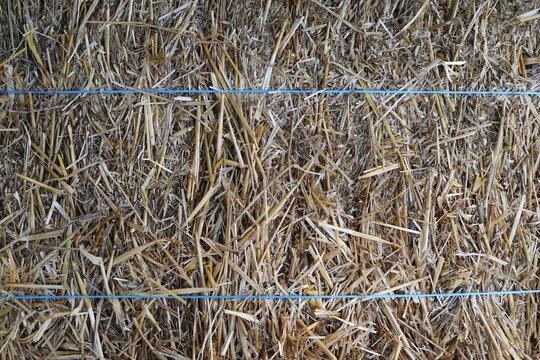Dense Densely Packed Hay Surface Bound with Strings Background