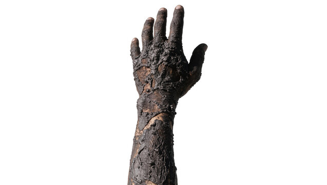 Human arm covered in dark mud reaching upwards, isolated on transparent background