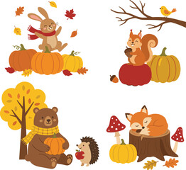Fototapeta premium Cute autumn woodland animals set with rabbit squirrel bear hedgehog and sleeping fox near pumpkins mushrooms and fall leaves vector illustration