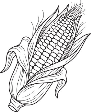 Black and white line art illustration of a fresh ear of corn kwanzaa starts