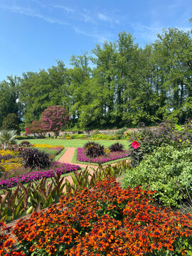 A beautiful summer garden full of flowers