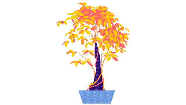 Stylized flat vector illustration of a potted bonsai tree with colorful autumn leaves transparent background