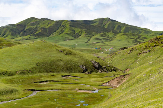 Tribeni dham grassland Badimalika , Nepal
