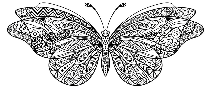 Intricate Zen Doodle Butterfly Illustration Isolated