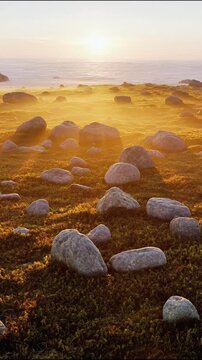 Golden hour aerial view of rugged rocky coastline with large boulders and crashing ocean waves under warm sunlight