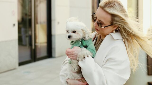 4K slow motion 60fps footage of a glamorous blonde woman embracing her sweet fluffy Maltese puppy dog wearing a sweater on a windy city street.