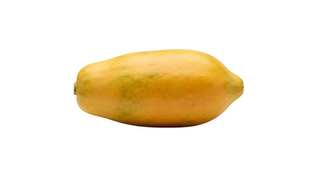 Ripe yellow papaya fruit is isolated on a grey background, showcasing its smooth skin and natural color variations.