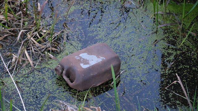 Plastic container discarded in swamp water environemntal microplastic pollution eco hazard concept