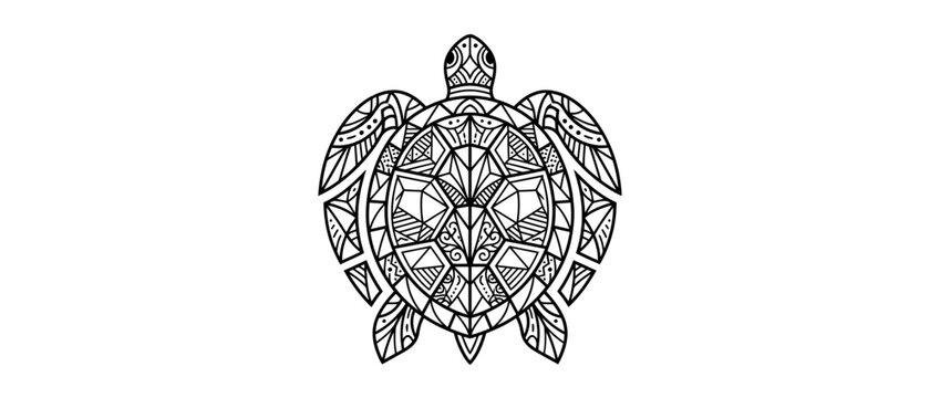Intricate Geometric Turtle Illustration Isolated