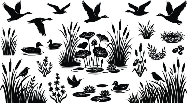 Black White Wetland Scene with Flying Birds and Aquatic Plants