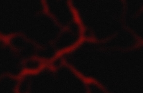 Red glowing abstract blood vessel network
