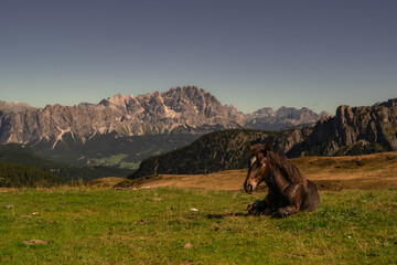 Italy, Passo Giau , Dolomity , mountain , Alpy, Włochy, Cortina dAmpezzo, Lagazuoi , Tre Cime, Lago di Braies © Daniel Folek