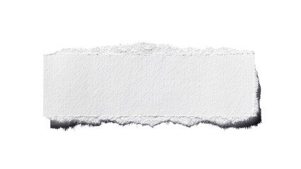 Obraz premium Rough torn white paper strip with textured surface, isolated on transparent background