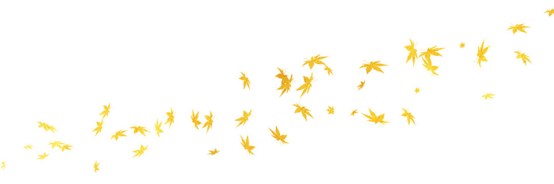 金色の紅葉が流れるシンプルなシルエット横長透過背景