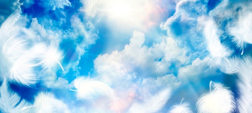 白い羽が青空に舞うスピリチュアルな天国背景イラスト