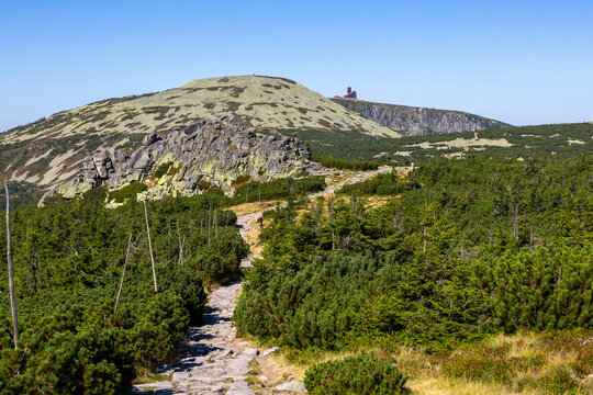 Horsk&aacute; turistick&aacute; stezka v Krkono&scaron;&iacute;ch vedouc&iacute; k vrcholu Viol&iacute;k a Sněžn&yacute;m j&aacute;m&aacute;m za slunečn&eacute;ho dne
Mountain hiking trail in Krkonose Giant Mountains leading towards Violik peak and Sniezne Kotly on a su
