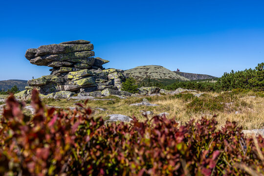 Žulov&yacute; skaln&iacute; &uacute;tvar Tvarožn&iacute;k v Krkono&scaron;&iacute;ch s borůvč&iacute;m v popřed&iacute; za slunečn&eacute;ho dne, Česk&aacute; republika
Tvaroznik granite rock formation in Krkonose Giant Mountains with blueberry bushes in foreground on a