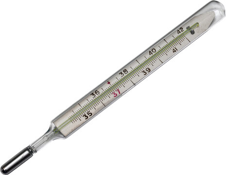 Traditional glass mercury thermometer isolated on transparent background, fever measurement concept.