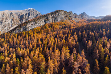 Aerial view of the Parpaillon Massif mountains in the French Alps, with golden larch forest in autumn. Crevoux valley, Hautes-Alpes, France © Francois Roux