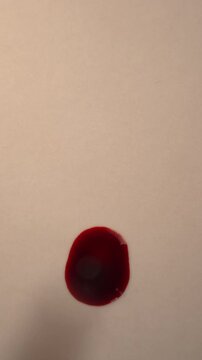 Dark blood dripping onto blank empty off-white surface for forensic discovery, top view zoom in slow motion, top copy space, vertical video