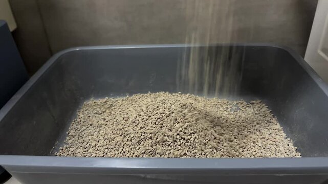Pouring clumping cat litter into a clean plastic tray for a pet, highlighting pet care, hygiene, and domestic animal maintenance for felines in a home environment