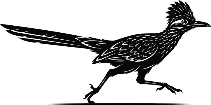 Roadrunner Bird Running Fast Ground Desert Wildlife Long Tail Beak Cuckoo Animal Silhouette Black And White Vector Art Clipart Laser Cut File Stencil Tattoo Logo Mascot Minimalist Design