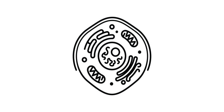 Cell biology structure icon with mitochondria and nucleus design element.