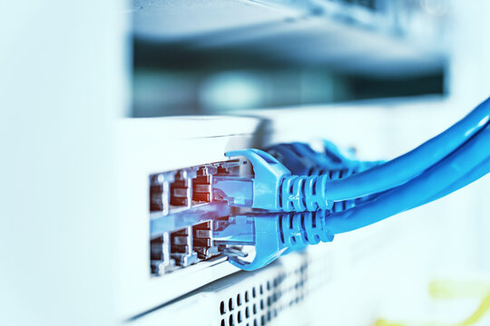 network cables connected in network switches
