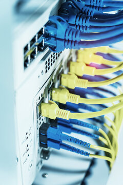 Fiber Optic cables connected to optic ports and UTP, Network cables connected to ethernet ports.