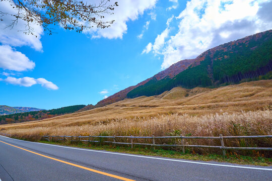 秋の箱根仙石原すすき草原を県道75号から見る