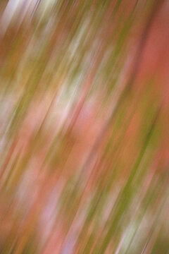 Abstract diagonal motion blur background with soft pink and warm olive green light streaks. Spring vibe