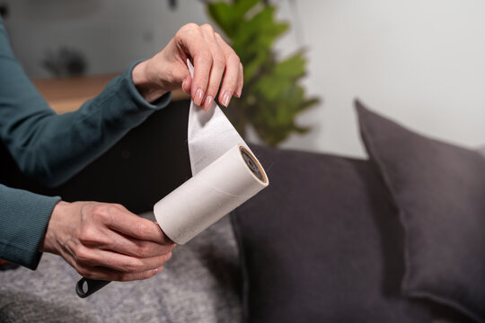 Close up female hands removing used adhesive sticky lint roller sheet near sofa. Concept of replacement refill routine, household hygiene maintenance and daily soft furniture, textile care. Copy space