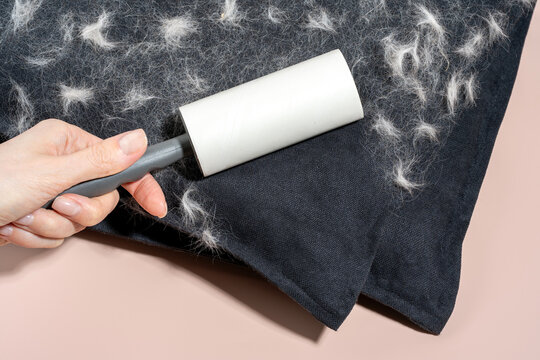 Hands use adhesive lint roller on black pillow for pet hair removal, pastel pink background. Concept of allergy-aware home hygiene, using sticky tape tool to reduce shedding and improve indoor air