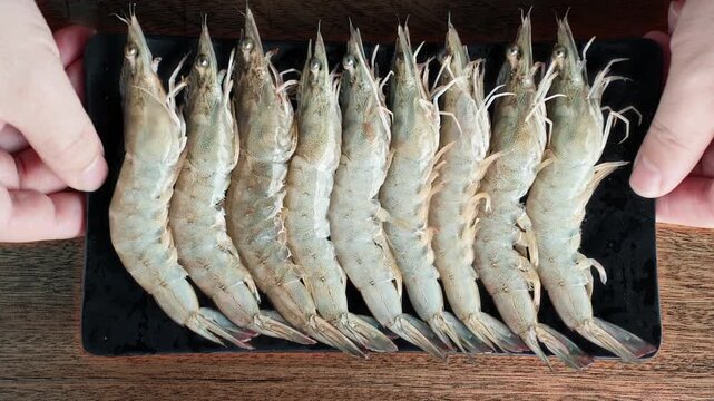4K top view footage of male hands placing a black rectangular tray filled with neatly arranged fresh raw whiteleg shrimp onto a wooden table