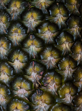 Quasi-abstract image, close-up photo of a pineapple fruit