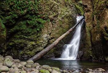 Waterfall cascades down mossy rocky cliffs with a fallen tree trunk extending diagonally across the frame at Salto do Cagarrao in Sao Miguel Island, Azores, Portugal. © Eugene Ga