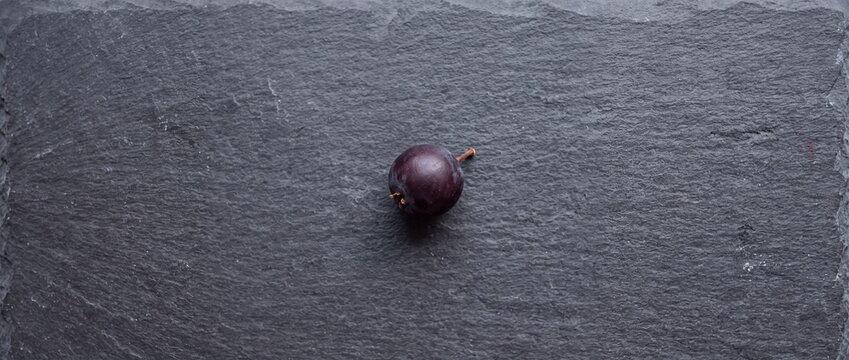 Single fresh dark purple blackcurrant berry sits centered on textured dark gray slate stone background representing natural healthy food