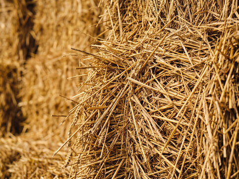 Close up of golden dry hay bales stacked in a farm field for agricultural harvest storage.