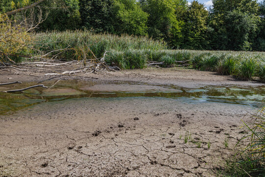 Beinahe ausgetrocknetes Feuchtgebiet