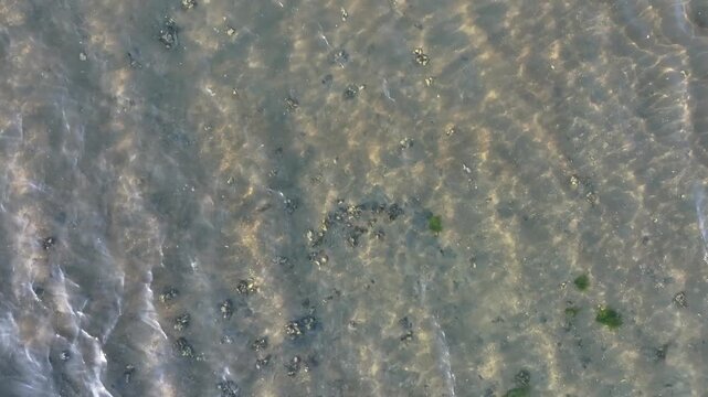 26-Second Aerial View of Expansive Shore at Ozu Coast, Fukushima, Japan - Spring