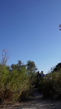 Low angle view of two male friends hiking on a dirt path. They emerge from the bushes, stop to look and point at something, and then continue their journey