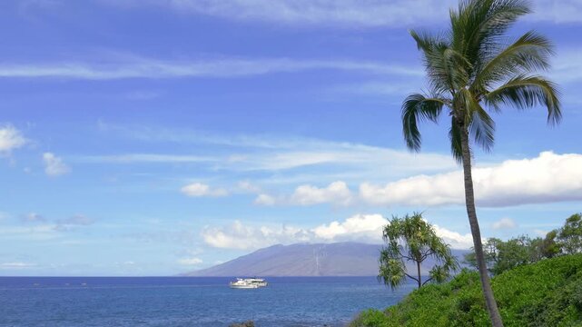 Looking out over green plants growing out of volcanic rocks in the Wailea Beach area on Maui, Hawaii with a palm tree to the side and Kaho&lsquo;olawe in the distance.