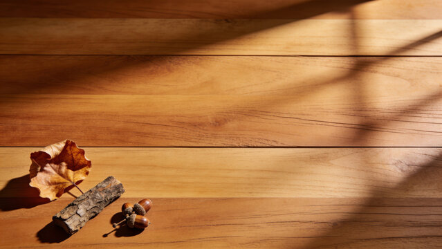 Warm autumn wood background featuring a dry leaf bark and acorns illuminated by sunlight window shadows