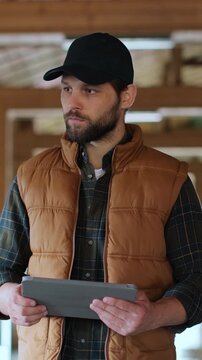 Vertical video. Farmer using tablet computer in modern dairy farm facility cowshed. Agribusiness owner checking data hold tabletPC in animal husbandry. Cowshed barn interior, stall, cowhouse.