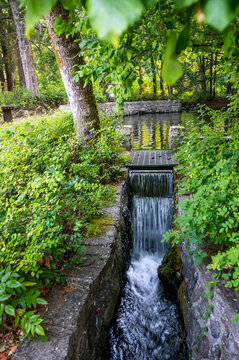 View of a small waterfall flowing into a pond at the Bonneville Fish Hatchery surrounded by lush greenery in Cascade Locks, Oregon, United States.