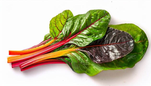 fresh swiss chard leaves with colorful stems isolated on white background