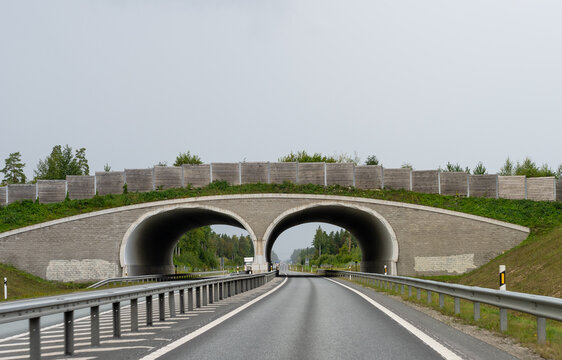Highway passing through a wildlife overpass tunnel with noise barrier and forest landscape. Modern road infrastructure and environmental protection